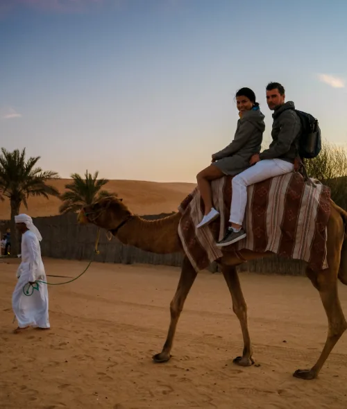 Camel Ride