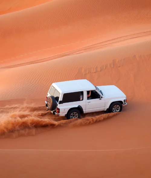 Desert Safari 2